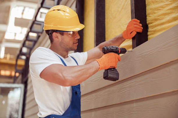 Best Stone Veneer Siding  in Oskaloosa, IA